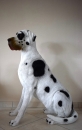 Große Weiße Deutsche Dogge Deko Hundefiguren Tierfigur Nur Abholung