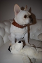 Französische Bulldogge Hund Deko Figur Hausfigur TierfigurRüde 3431 Polyresin
