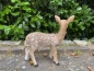 Kitz Bambi Reh Deko Wild