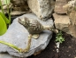 2 mal Deko Ente Garten Vogel Material Gusseisen