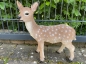 Kitz Bambi Reh Deko Wild