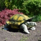 Schildkröte Deko Landschildkröte Figur Gartenfigur Tierfigur Reptil Nur Abholung