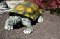 Schildkröte Deko Landschildkröte Figur Gartenfigur Tierfigur Reptil Nur Abholung