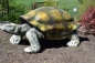 Schildkröte Deko Landschildkröte Figur Gartenfigur Tierfigur Reptil Nur Abholung