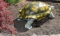 Schildkröte Deko Landschildkröte Figur Gartenfigur Tierfigur Reptil Nur Abholung