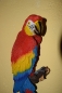 Papagei Ara Handbemalt Rot Wand Deko Wandbefestigung Amazon Urwald Zoo Käfig