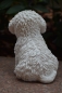 Hund Bichon Frise Gartenfigur Garten Deko lebensecht Figur Welpe Malteser