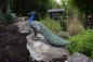 Deko Pfau Vogel Gartenfigur Lebensecht Zoo Karibik
