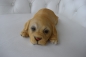 Hund Labrador Deko klein liegend Material Polyresin
