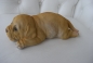 Hund Labrador Deko klein liegend Material Polyresin