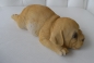 Hund Labrador Deko klein liegend Material Polyresin