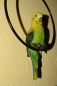 Wellensittich Deko Lebensechter Vogel Farbe Grün Gelb