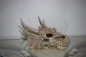 Drachenkopf Drachenfigur Deko Fantasy Wandrelief klein Totenkopf Sammlerobjekte