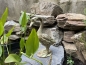 Deko Schwan Garten Vogel Material Gusseisen