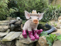 Deko Schwein mit Hut Pinke Stiefel