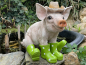 Deko Schwein mit Hut und Stiefel