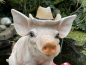 Deko Schwein mit Hut Pinke Stiefel