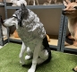 Großer Wolf Dekoration Hundefigur Gartenfigur