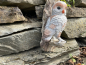 Deko Schneeeule zur Wandbefestigung Gartenfigur