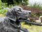 Golden Retriever Deko Hunde Figur Gartenfigur