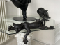 Katze Kantenhocker Deko Katzenfigur