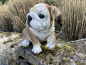 Bulldogge Wunderschöner Deko Hund