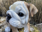 Bulldogge Wunderschöner Deko Hund