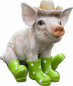 Deko Schwein mit Hut und Stiefel