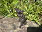 Deko Maus Material Gusseisen Ratte Skulptur