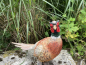 Fasan Deko Vogel Wald Wiese Gartenfigur