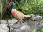 Fasan Deko Vogel Wald Wiese Gartenfigur