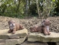 Deko 2 er Set Otter