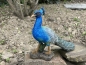 Deko Pfau vogel Gartenfigur