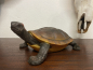 Schildkröte Rotwangen-Schmuckschildkröte Dekofigur Garten Teich