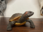 Schildkröte Rotwangen-Schmuckschildkröte Dekofigur Garten Teich