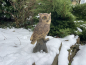 Eule Uhu Greifvogel Deko Gartenfigur
