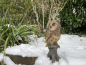 Eule Uhu Greifvogel Deko Gartenfigur