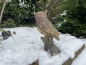 Eule Uhu Greifvogel Deko Gartenfigur