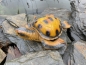 Meeresschildkröten Deko Aquarium Teich Garten