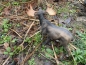 Elch Frei stehend Deko Winter Gartenfigur