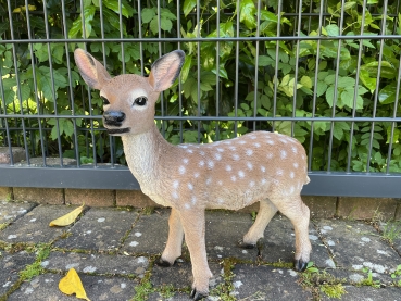 Kitz Bambi Reh Deko Wild