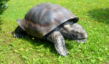 XXL Schildkröte, Riesenlandschildkröte, Dekoration Garten. Material Polyresin Länge 105 cm