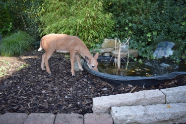 Reh fressend saufend Deko Garten Haus