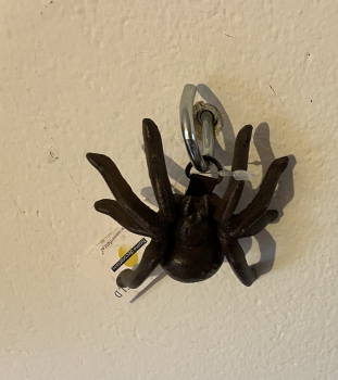 Spinne Tarantel Material Gusseisen Wandaufhängung Deko