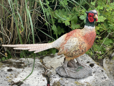 Fasan Deko Vogel Wald Wiese Gartenfigur