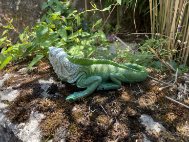 Leguan Deko Reptil Gartenfigur Tierfigur