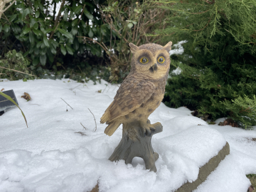 Eule Uhu Greifvogel Deko Gartenfigur