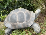 Deko Landschildkröten, Figuren, Schildkröte, Tierfigur, Kunstharz, Kröte, Reptil Höhe 26 cm
