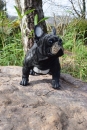 Französische Bulldogge Deko Hund Hausfigur Hundefigur Garten