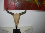 Stierkopf auf Ständer Tierschädel Büffel auf Ständer Kunststein Deko Figur